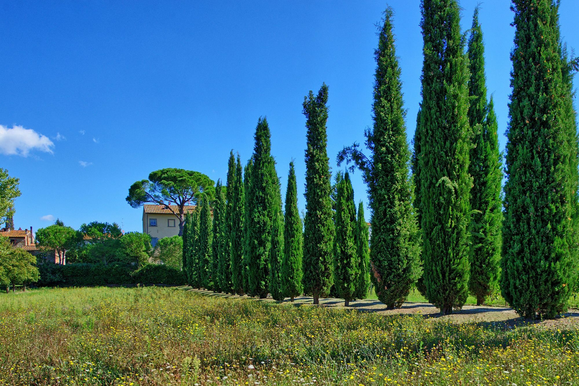 Villa Giovi Arezzo Eksteriør billede